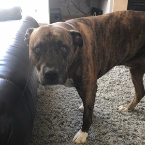 Meet your Posher, Brett